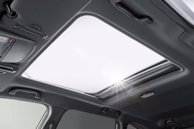 Forester Limited 2026