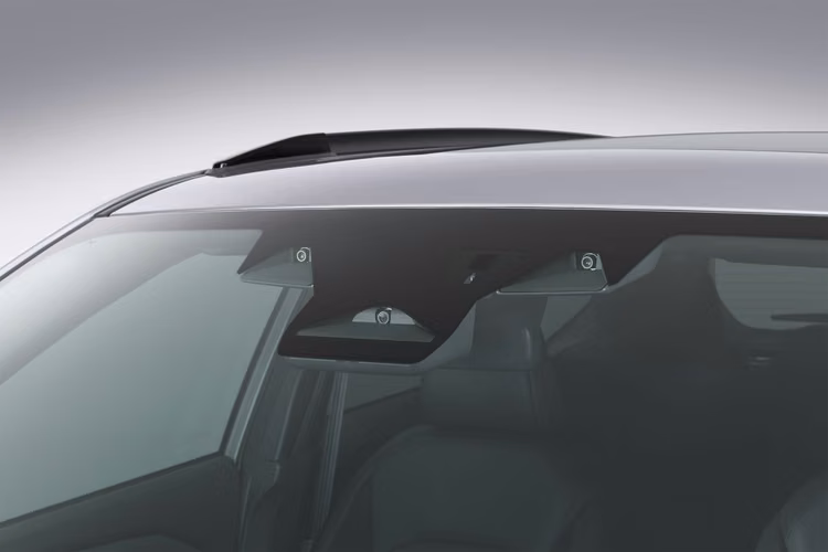 Forester Limited 2026