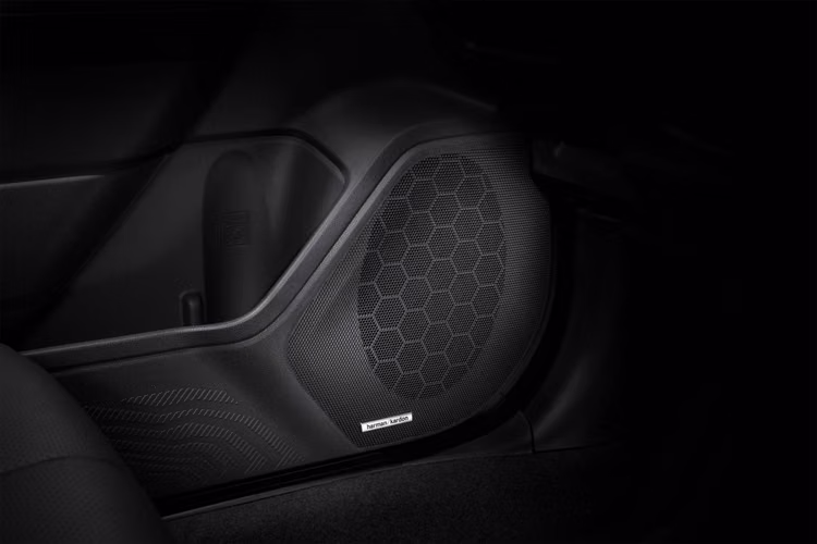 Forester Limited 2026