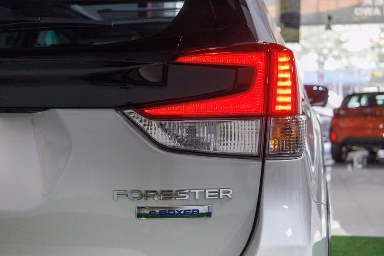 Forester SHEV Hibrida 2026
