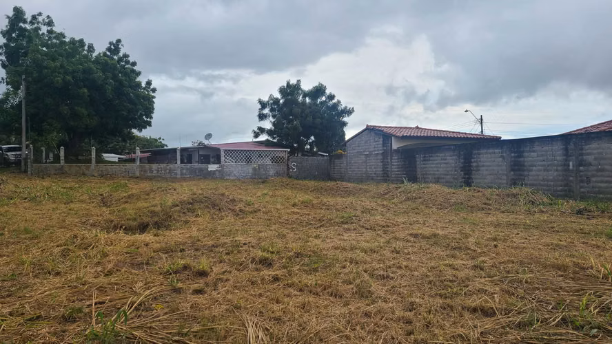 LOTE PLANO DE 1400M2 ATRÁS DE ANCLAS MALL - LA CHORRERA