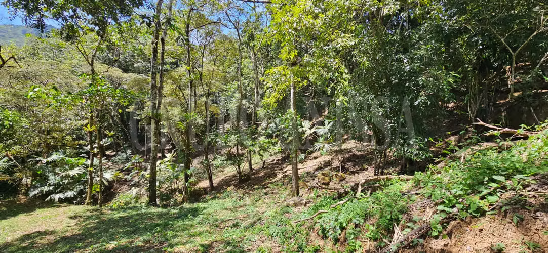 OPORTUNIDAD! Se Vende Amplio lote en Altos del Maria