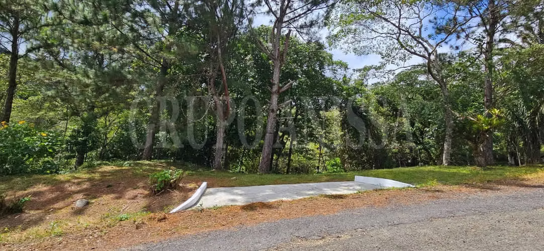 OPORTUNIDAD! Se Vende Amplio lote en Altos del Maria
