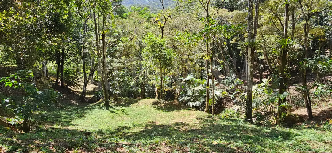 OPORTUNIDAD! Se Vende Amplio lote en Altos del Maria