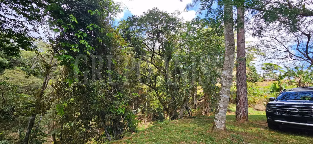 OPORTUNIDAD! Se Vende Amplio lote en Altos del Maria