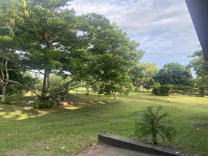 VENDO FINCA DE 29,000M2  LISTAS PARA SER UTILIZADA NEGOCIABLE - Imagen 13