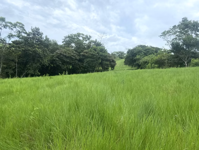 VENDO 15000M2 90% PLANOS CON TODOS LOS SERVICIOS PANAMA OESTE