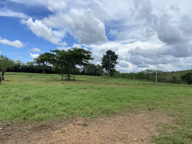 VENDO 15000M2 90% PLANOS CON TODOS LOS SERVICIOS PANAMA OESTE