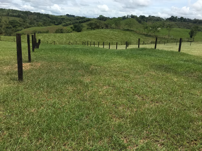 VENDO 15000M2 90% PLANOS CON TODOS LOS SERVICIOS PANAMA OESTE