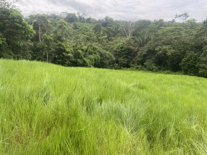 VENDO 15000M2 90% PLANOS CON TODOS LOS SERVICIOS PANAMA OESTE