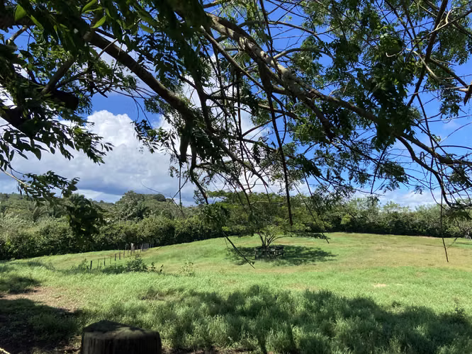 VENDO 15000M2 90% PLANOS CON TODOS LOS SERVICIOS PANAMA OESTE