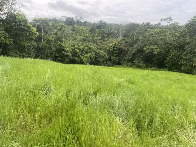 FINCA DE 2.3 HECTAREAS A $10 POR M2 EXCELENTE INVERSION PANAMA OESTE