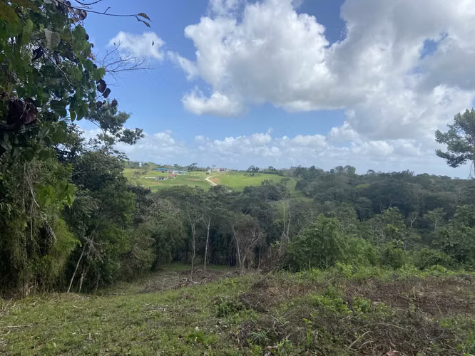 FINCA DE 2.3 HECTAREAS A $10 POR M2 EXCELENTE INVERSION PANAMA OESTE
