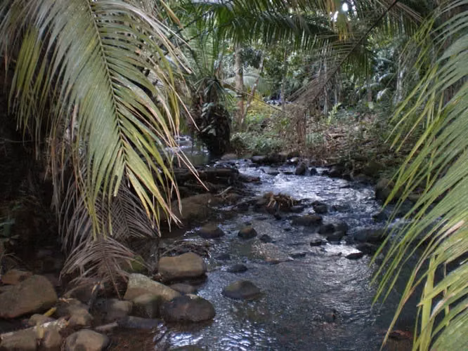 FINCA DE 2.3 HECTAREAS A $10 POR M2 EXCELENTE INVERSION PANAMA OESTE