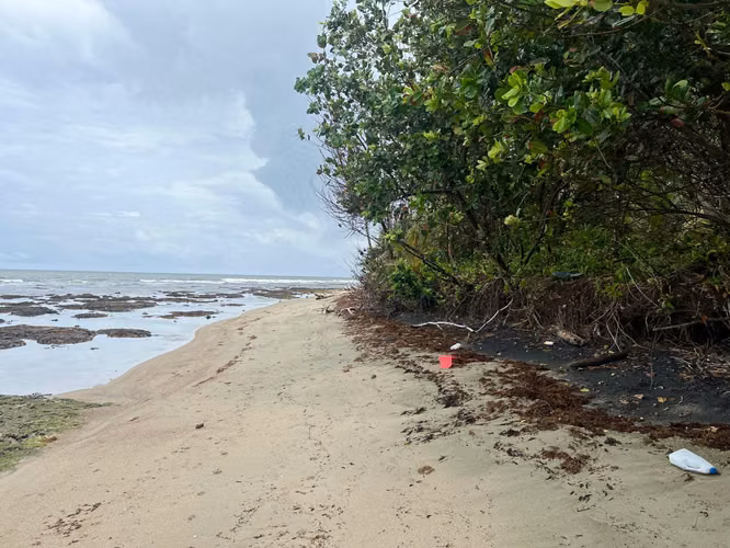 $395,000 Se Venden 3 Hectáreas frente al Mar Caribe en Costa Abajo