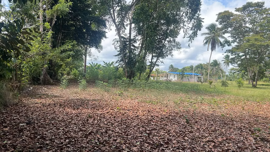 $395,000 Se Venden 3 Hectáreas frente al Mar Caribe en Costa Abajo