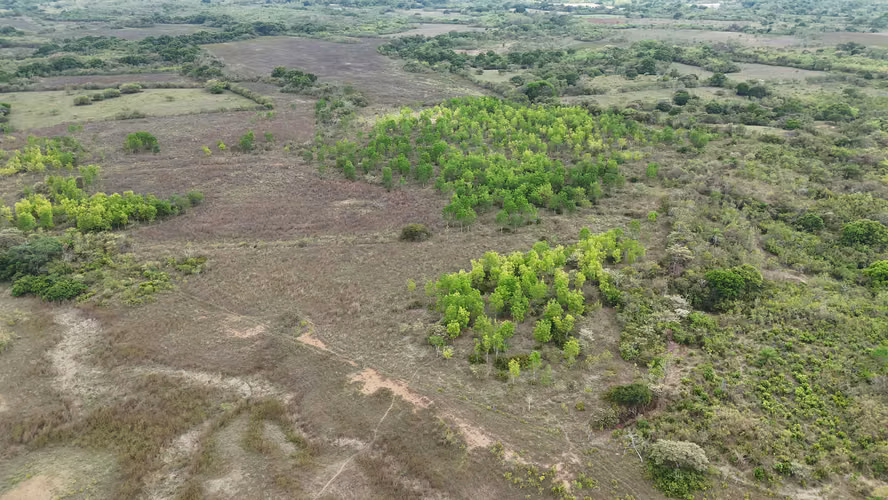 Se vende: 86.3 ha – segregaciones posibles – $7000/ha/negociables – San Cristóbal, Montijo, Veraguas