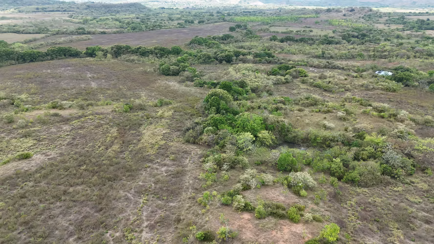 Se vende: 86.3 ha – segregaciones posibles – $7000/ha/negociables – San Cristóbal, Montijo, Veraguas