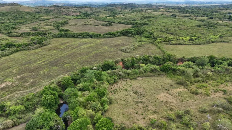 Se vende: 86.3 ha – segregaciones posibles – $7000/ha/negociables – San Cristóbal, Montijo, Veraguas - Imagen 9