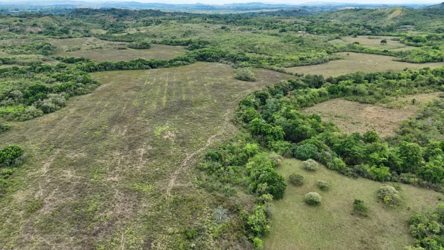 Se vende: 86.3 ha – segregaciones posibles – $7000/ha/negociables – San Cristóbal, Montijo, Veraguas - Imagen 8