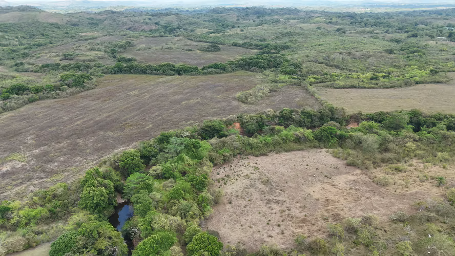 Se vende: 86.3 ha – segregaciones posibles – $7000/ha/negociables – San Cristóbal, Montijo, Veraguas