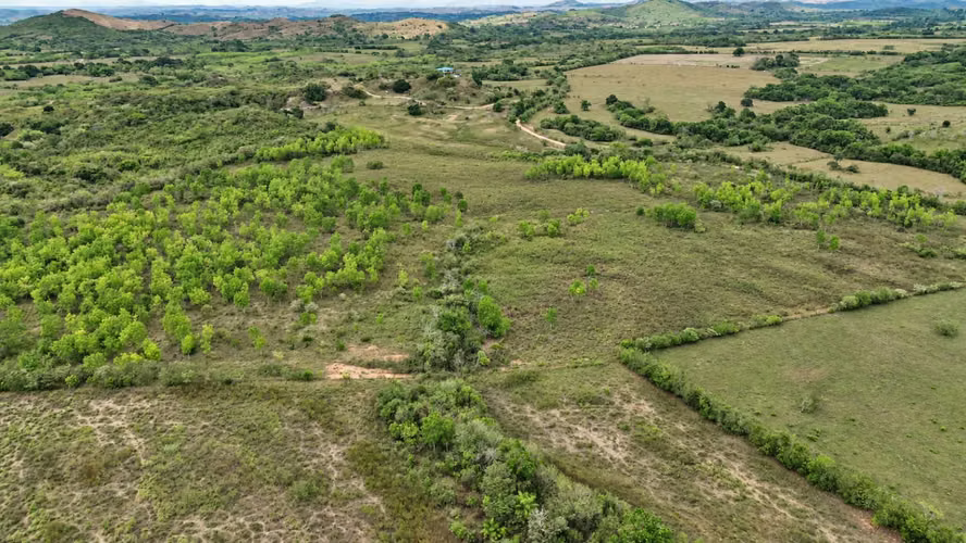 Se vende: 86.3 ha – segregaciones posibles – $7000/ha/negociables – San Cristóbal, Montijo, Veraguas - Imagen 10