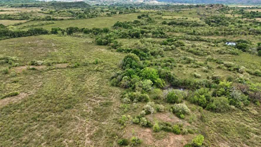 Se vende: 86.3 ha – segregaciones posibles – $7000/ha/negociables – San Cristóbal, Montijo, Veraguas - Imagen 12
