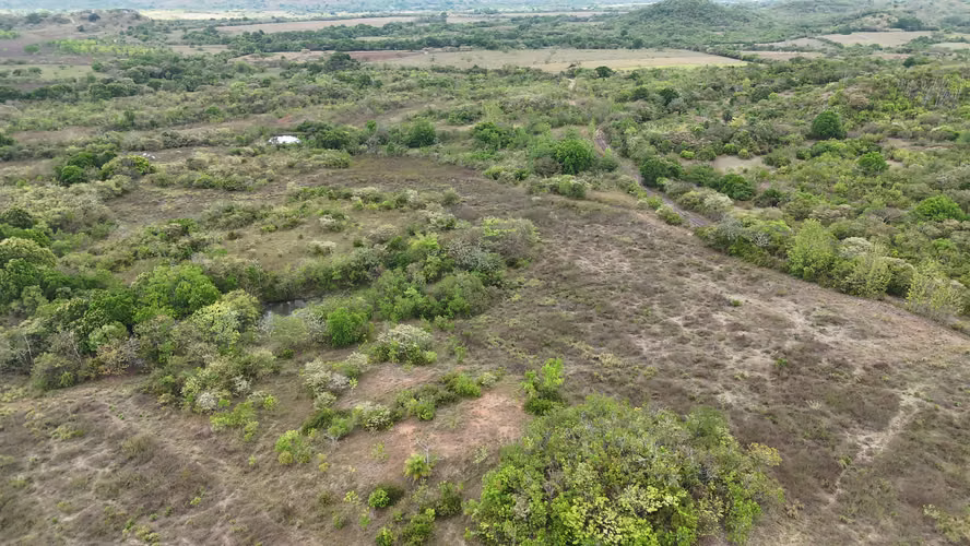 Se vende: 86.3 ha – segregaciones posibles – $7000/ha/negociables – San Cristóbal, Montijo, Veraguas