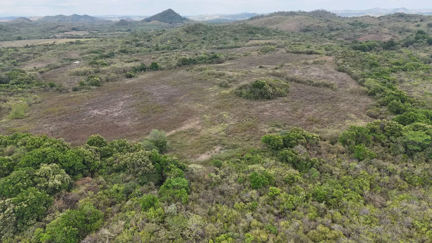Se vende: 86.3 ha – segregaciones posibles – $7000/ha/negociables – San Cristóbal, Montijo, Veraguas