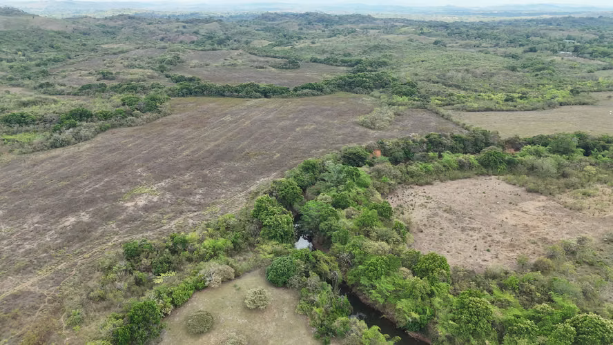 Se vende: 86.3 ha – segregaciones posibles – $7000/ha/negociables – San Cristóbal, Montijo, Veraguas