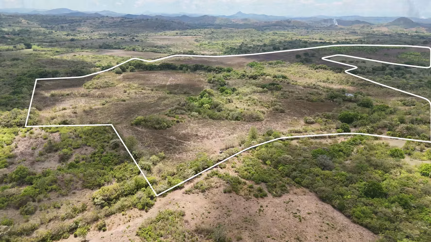 Se vende: 86.3 ha – segregaciones posibles – $7000/ha/negociables – San Cristóbal, Montijo, Veraguas