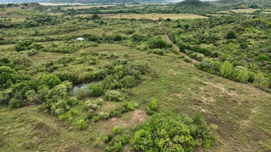 Se vende: 86.3 ha – segregaciones posibles – $7000/ha/negociables – San Cristóbal, Montijo, Veraguas - Imagen 11