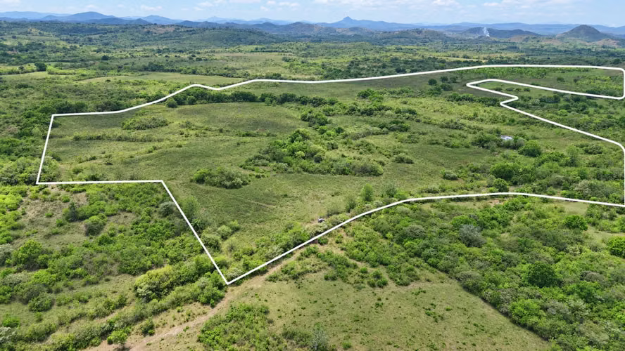 Se vende: 86.3 ha – segregaciones posibles – $7000/ha/negociables – San Cristóbal, Montijo, Veraguas - Imagen 4