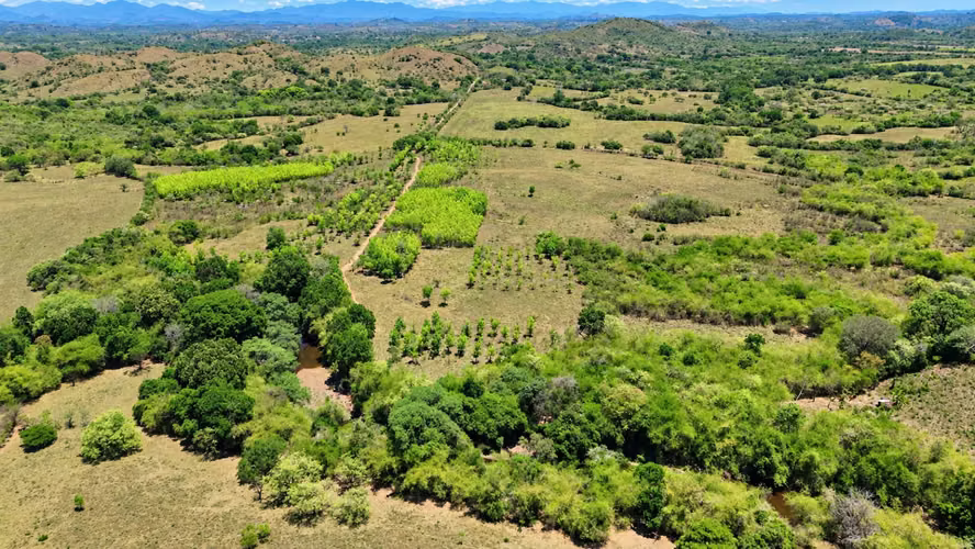 Se vende: 20.5 ha – segregaciones posibles – $8,000/ha – negociables – Llano Largo, Veraguas - Imagen 7