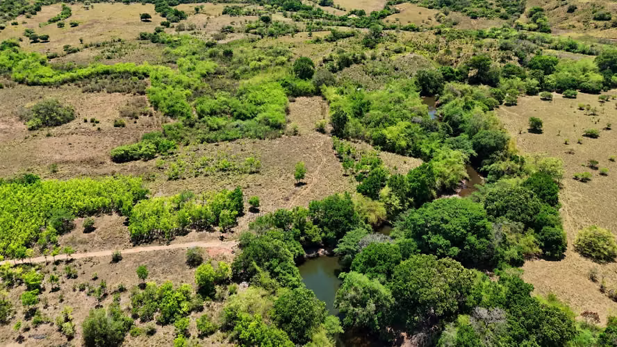 Se vende: 20.5 ha – segregaciones posibles – $8,000/ha – negociables – Llano Largo, Veraguas - Imagen 11