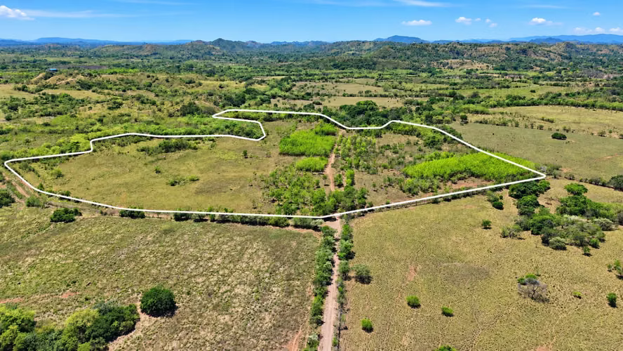 Se vende: 20.5 ha – segregaciones posibles – $8,000/ha – negociables – Llano Largo, Veraguas - Imagen 5