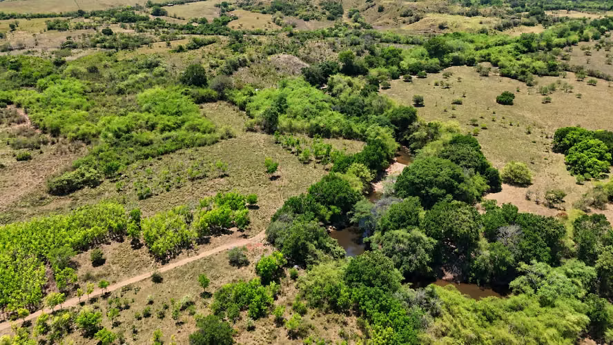 Se vende: 20.5 ha – segregaciones posibles – $8,000/ha – negociables – Llano Largo, Veraguas - Imagen 10