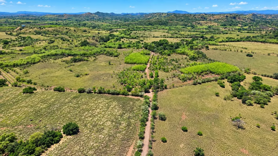 Se vende: 20.5 ha – segregaciones posibles – $8,000/ha – negociables – Llano Largo, Veraguas - Imagen 6