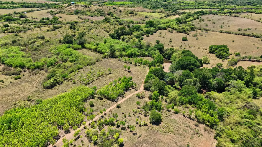 Se vende: 20.5 ha – segregaciones posibles – $8,000/ha – negociables – Llano Largo, Veraguas - Imagen 8