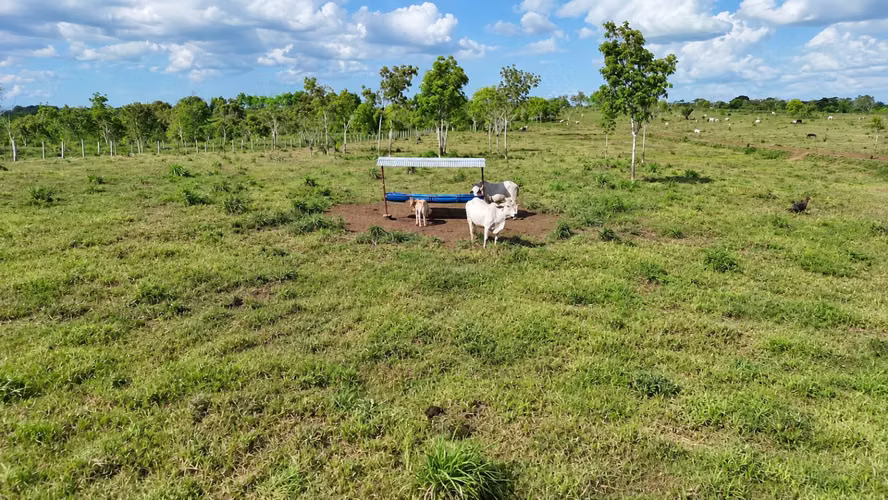 Se vende: 270.6 ha – segregaciones posibles – $7,500/ha – negociables – Metetí, Darién - Imagen 21