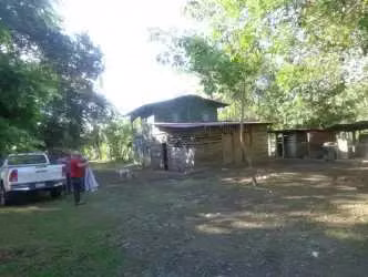 $2,500,000 NEGOCIABLES VENDO 378 HECTAREAS EN BARU PROVINCIA CHIRIQUI
