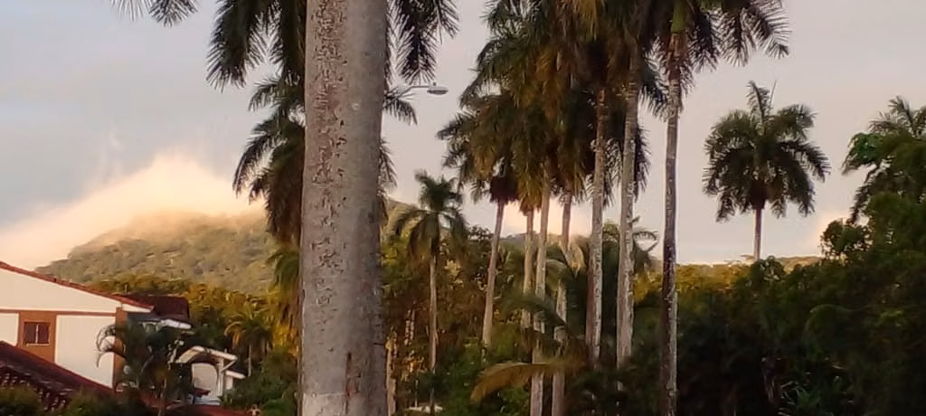 Vendo casa en Residencial Howard, Panamá Pacifico - Imagen 17