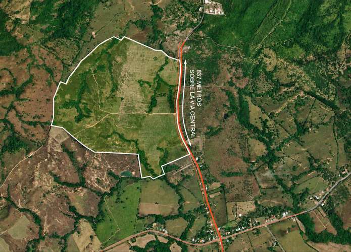 Se vende: 92.7 ha – segregaciones posibles – $9,750/ha – negociables – Aclita, Veraguas