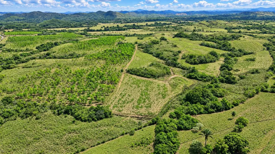 Se vende: 92.7 ha – segregaciones posibles – $13,000/ha – negociables – Aclita, Veraguas - Imagen 12