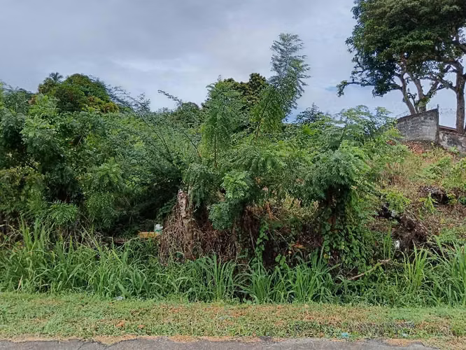 La Paz de Chame Lote 800m2 $38,500