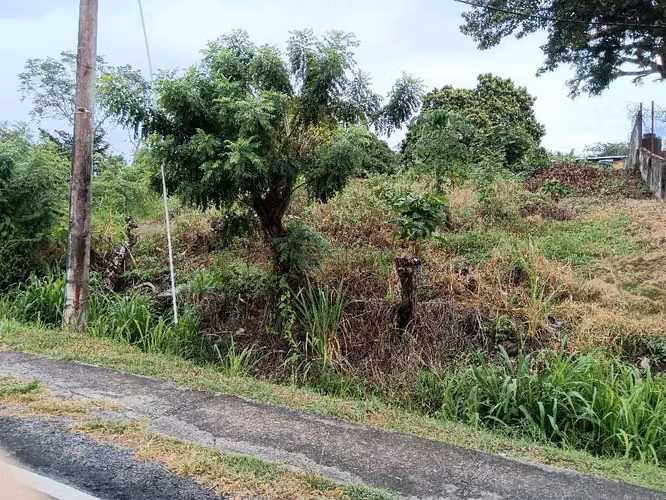 La Paz de Chame Lote 800m2 $38,500