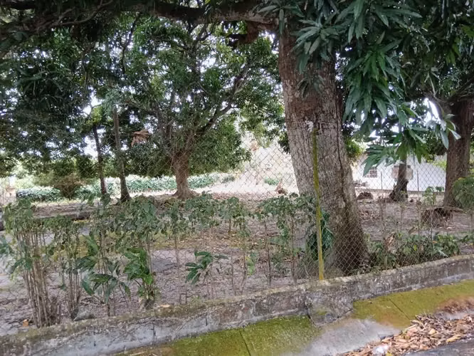 La Paz de Chame Lote 800m2 $38,500