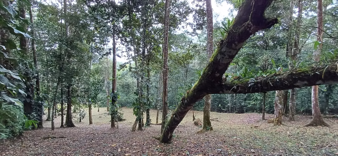 SE VENDE TERRENO CON EXECELENTE VISTA CERRO AZUL
