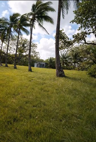 Venta de Finca en Costa Abajo, Colón