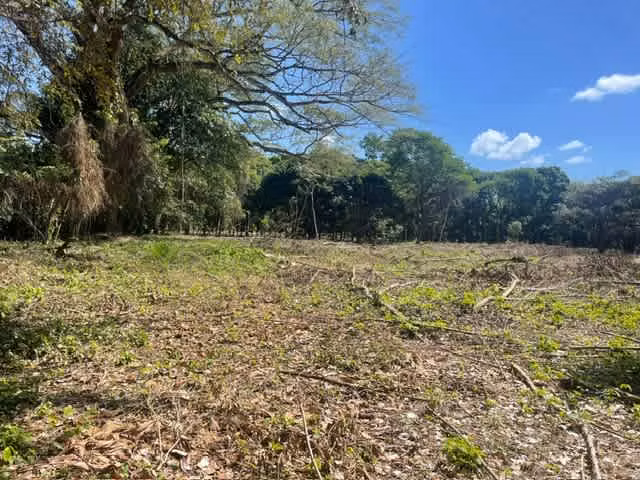 Se Vende Espectacular Propiedad en Chame – Ideal para Desarrollo - Imagen 14